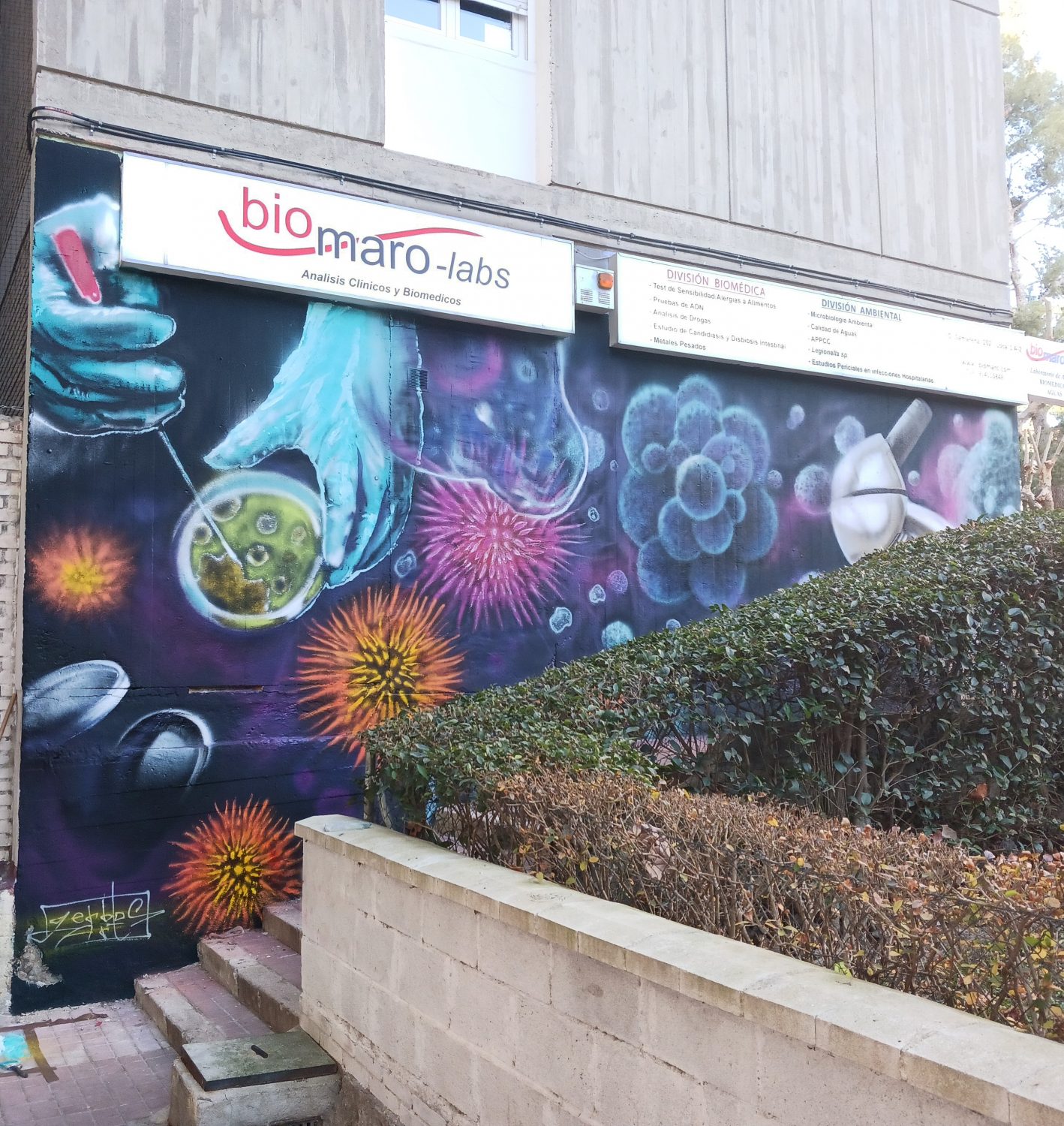 laboratorio micromundos mural gerbosart murales (2)